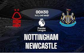 Highlights Nottingham vs Newcastle | BLV Người Thỏ | 11.2.24 Highlights Nottingham vs Newcastle | BLV Người Thỏ | 11.2.24